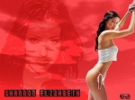 Shannon Elizabeth wall1.jpg